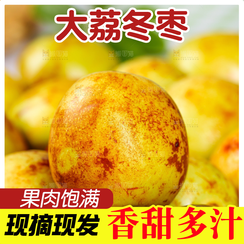 浅底上的冬枣