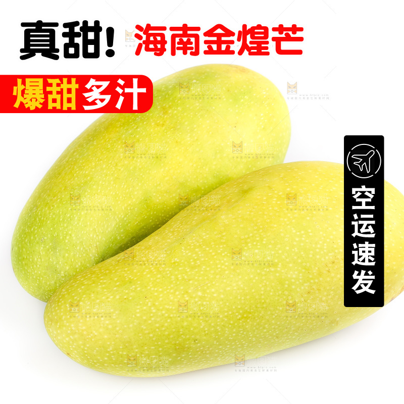 白底上的金煌芒