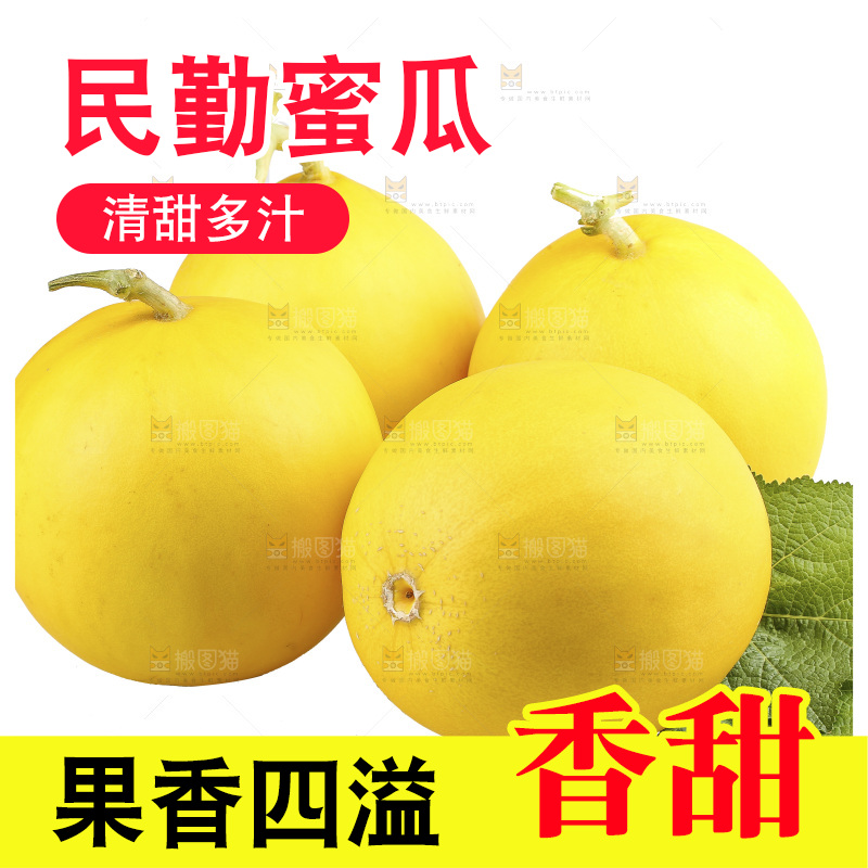 白底上的民勤蜜瓜