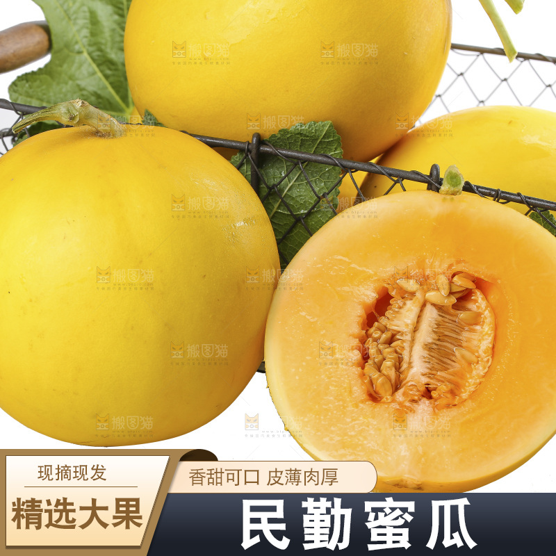 白底上的民勤蜜瓜