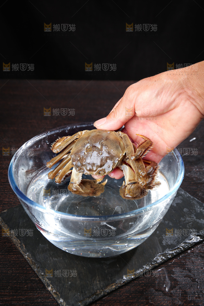 深底上的阳澄湖大闸蟹