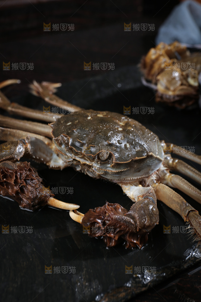 深底上的阳澄湖大闸蟹