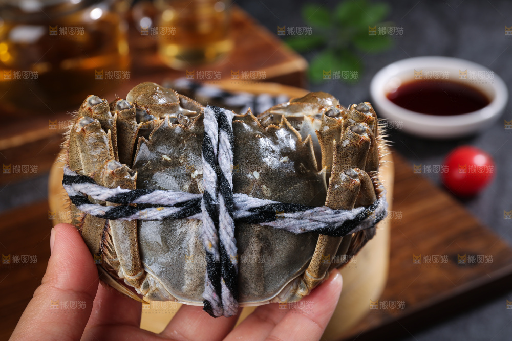 深底上的大闸蟹