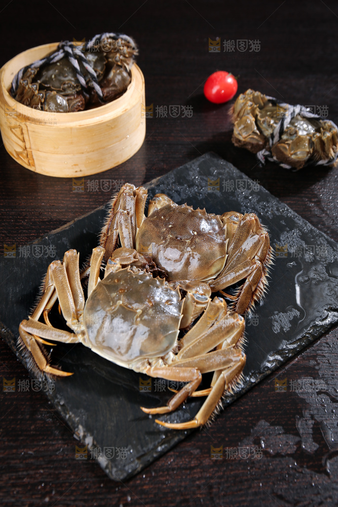 深底上的阳澄湖大闸蟹
