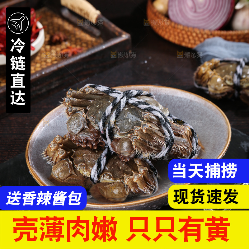 深底上的阳澄湖大闸蟹