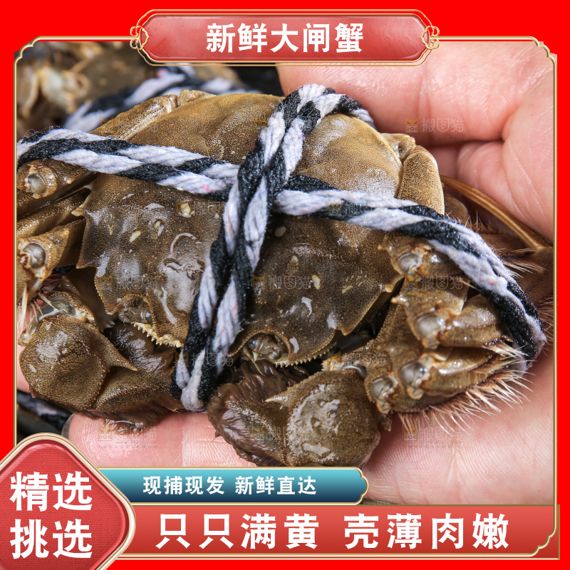 深底上的阳澄湖大闸蟹