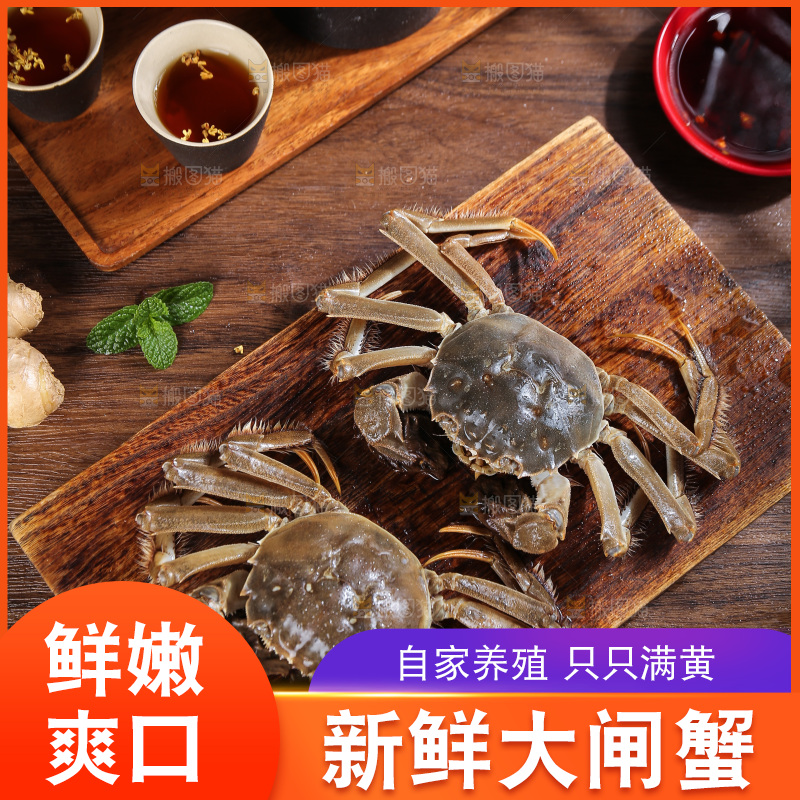 深底上的新鲜大闸蟹