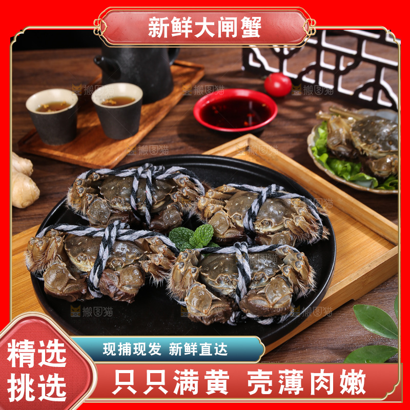深底上的新鲜大闸蟹
