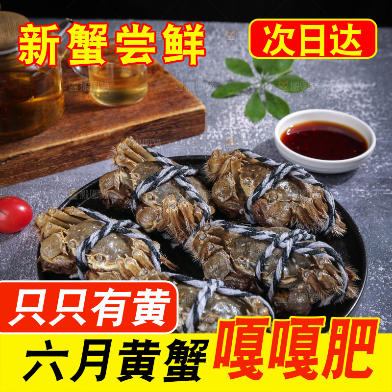 深底上的阳澄湖大闸蟹