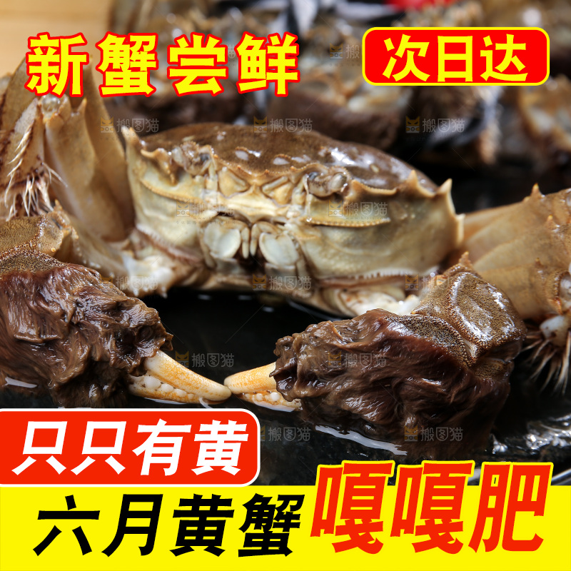 深底上的阳澄湖大闸蟹