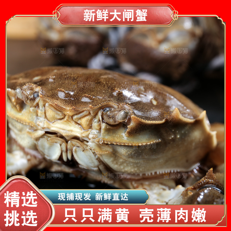 深底上的阳澄湖大闸蟹