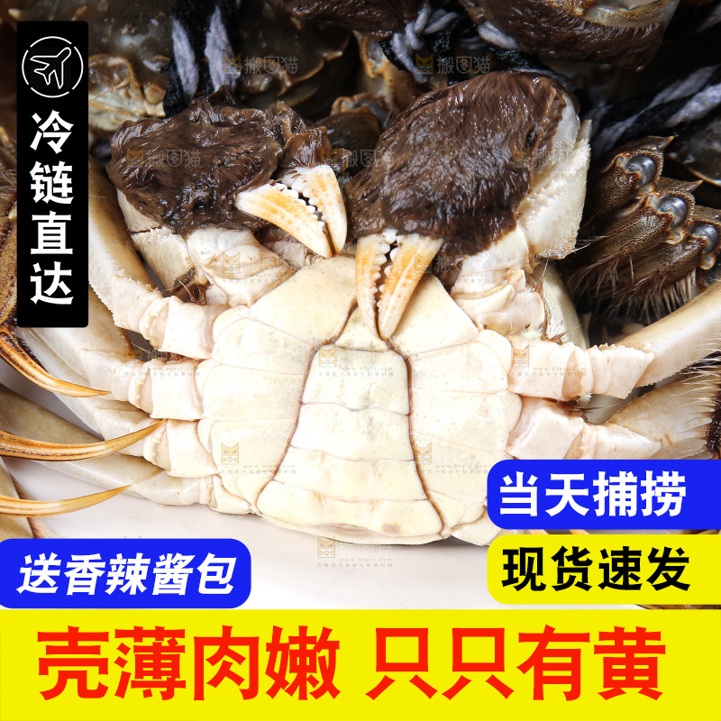 深底上的大闸蟹