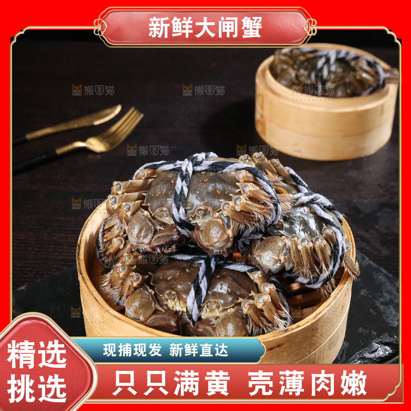 深底上的新鲜大闸蟹
