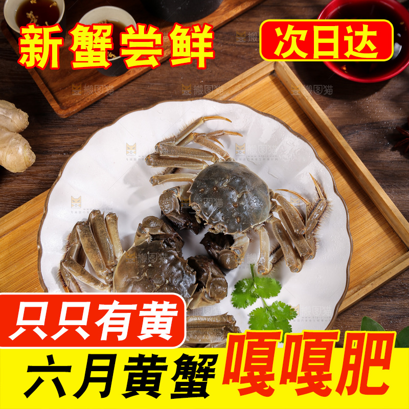 深底上的新鲜大闸蟹