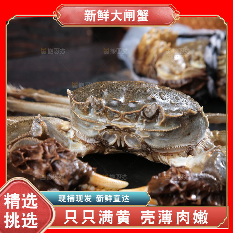 深底上的阳澄湖大闸蟹