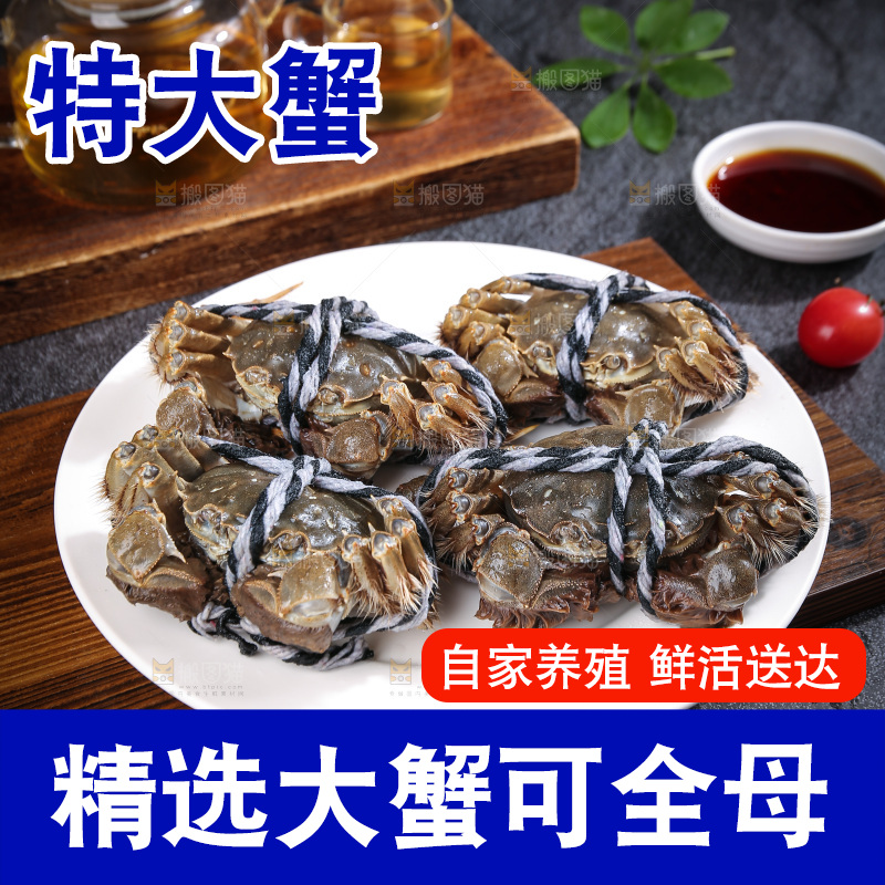 深底上的大闸蟹
