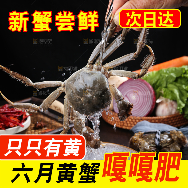 深底上的阳澄湖大闸蟹