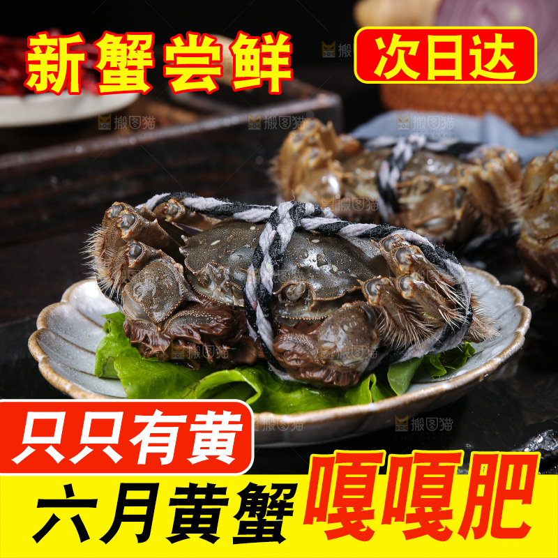 深底上的新鲜大闸蟹