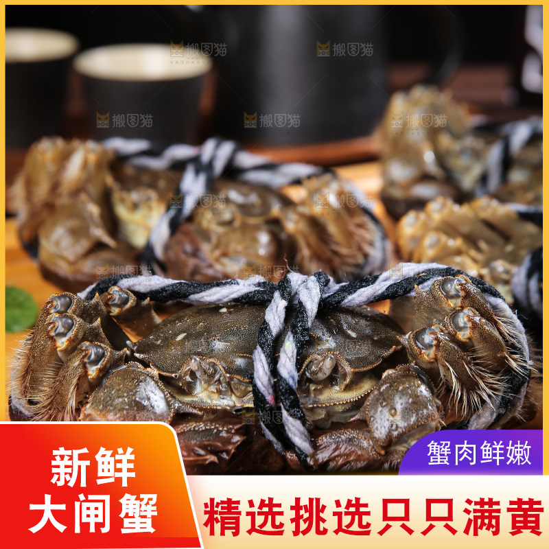 深底上的阳澄湖大闸蟹