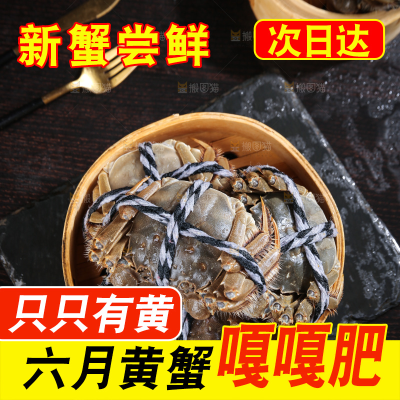 深底上的新鲜大闸蟹