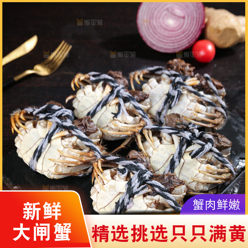深底上的新鲜大闸蟹