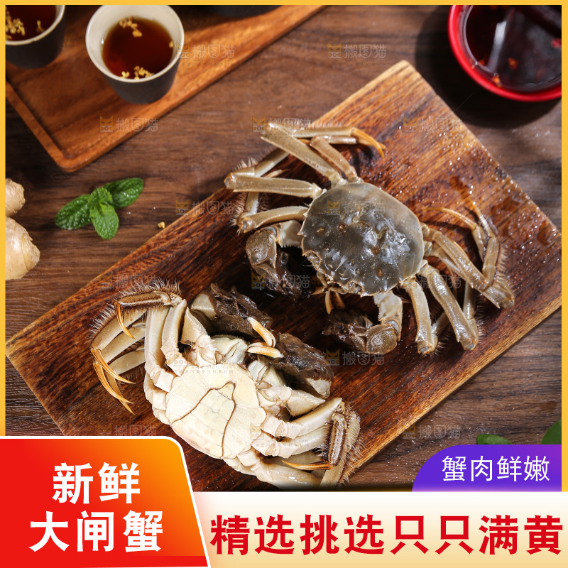 深底上的新鲜大闸蟹
