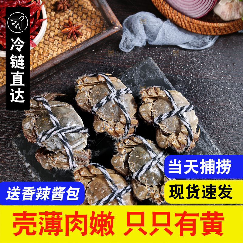 深底上的阳澄湖大闸蟹