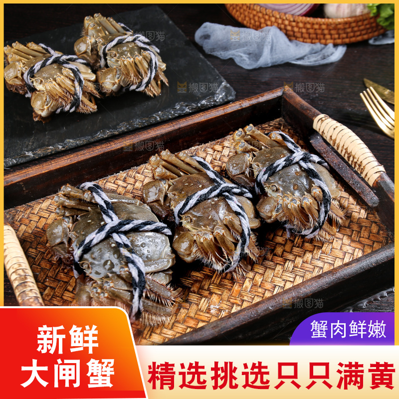 深底上的新鲜大闸蟹