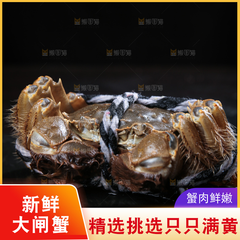深底上的新鲜大闸蟹