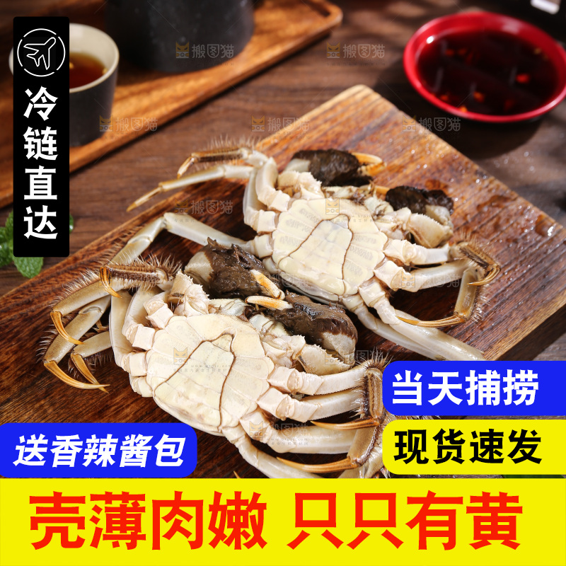 深底上的新鲜大闸蟹