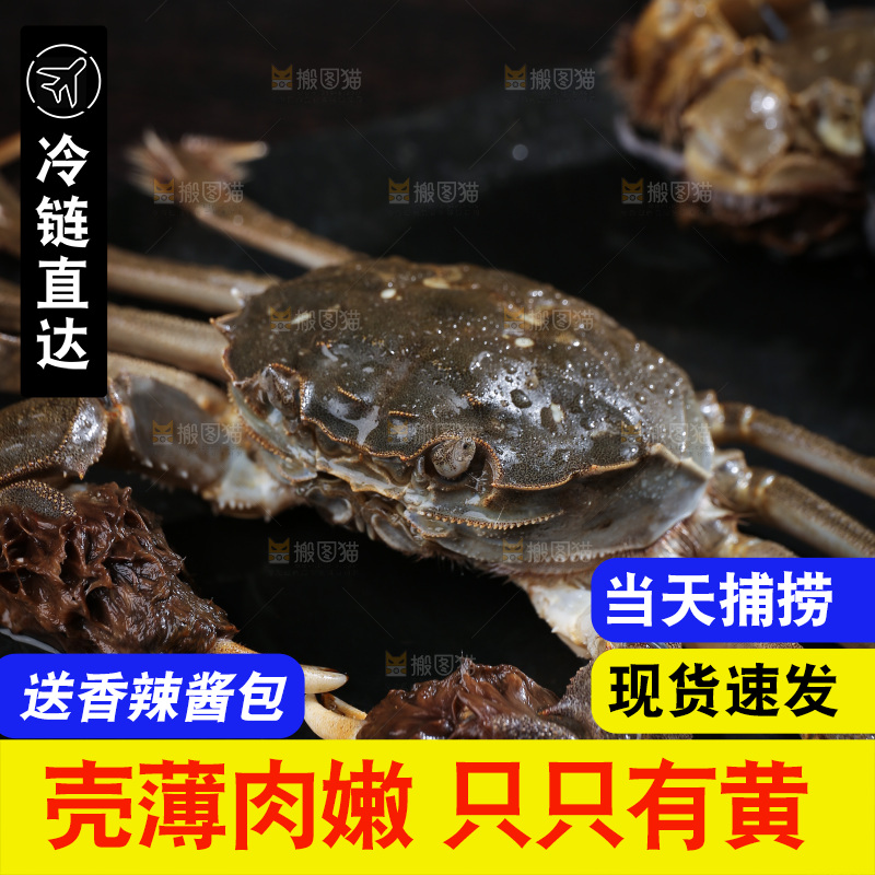 深底上的阳澄湖大闸蟹