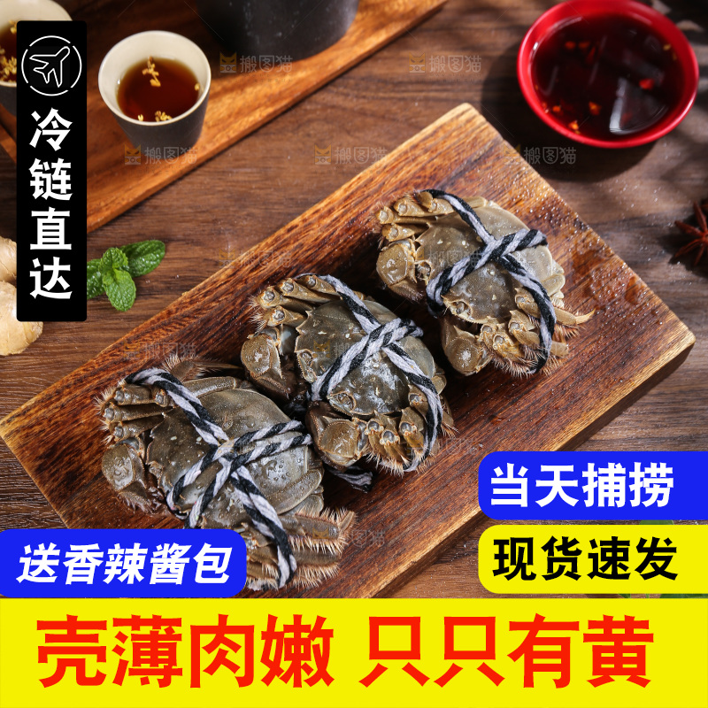 深底上的阳澄湖大闸蟹