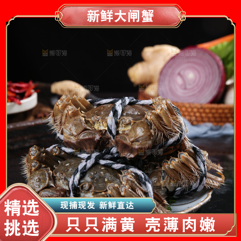 深底上的新鲜大闸蟹