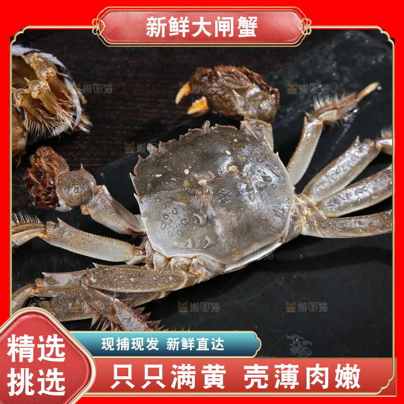 深底上的阳澄湖大闸蟹