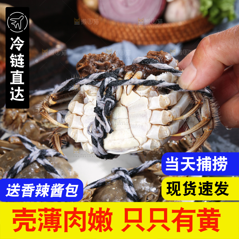 深底上的阳澄湖大闸蟹