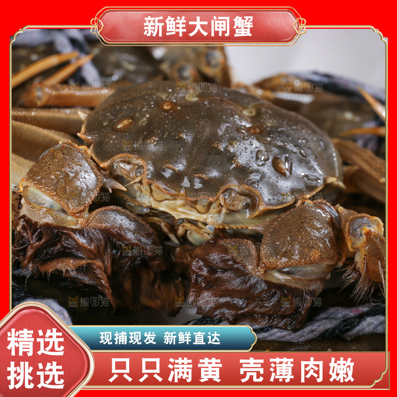 深底上的新鲜大闸蟹