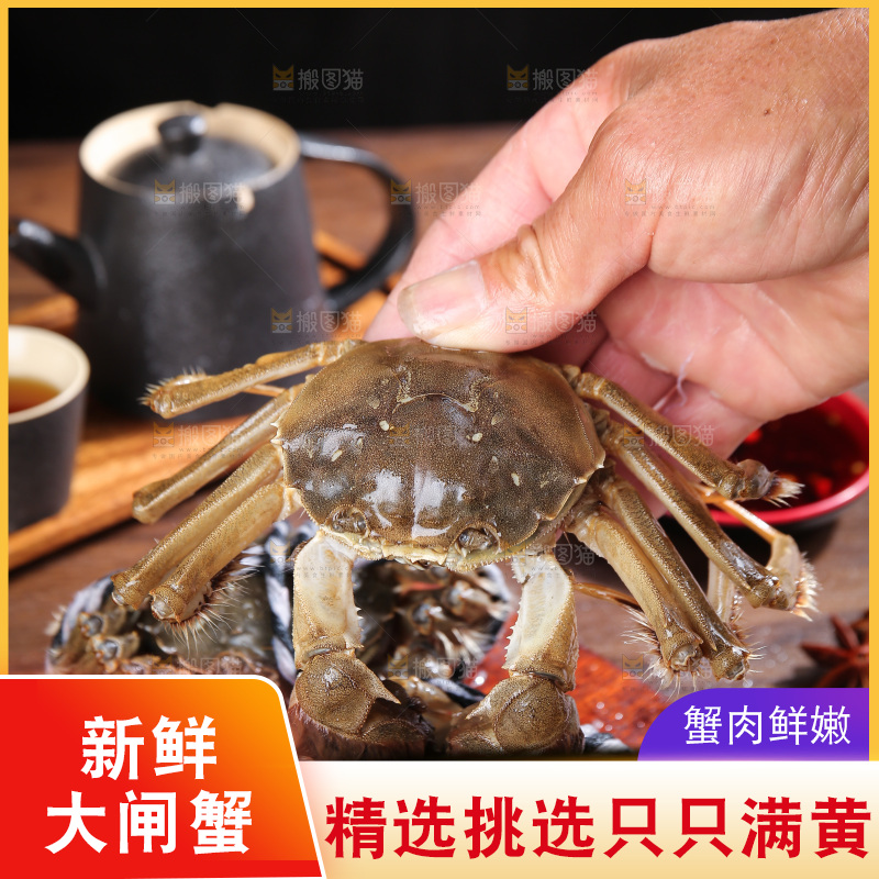 深底上的阳澄湖大闸蟹