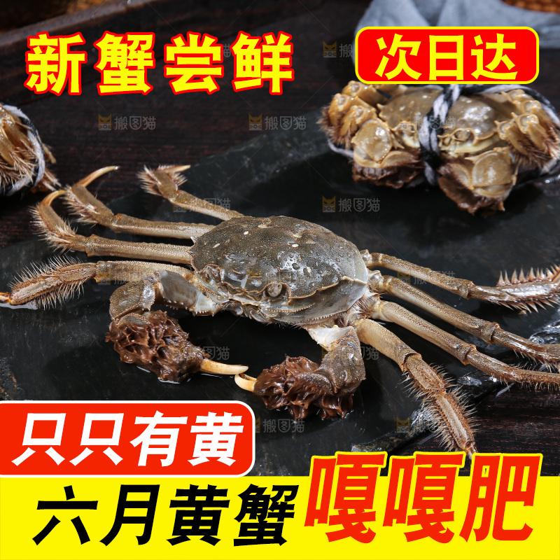 深底上的阳澄湖大闸蟹