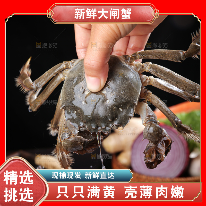 深底上的阳澄湖大闸蟹
