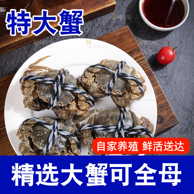 深底上的大闸蟹