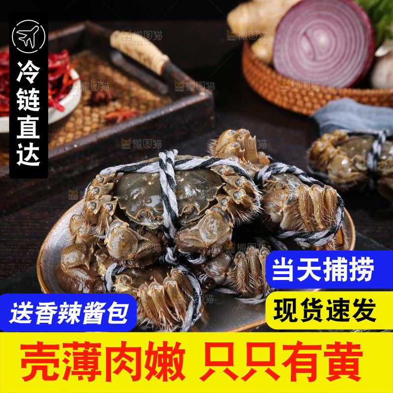 深底上的阳澄湖大闸蟹