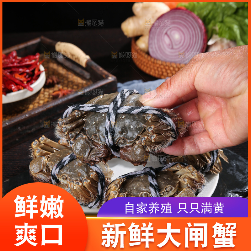 深底上的阳澄湖大闸蟹