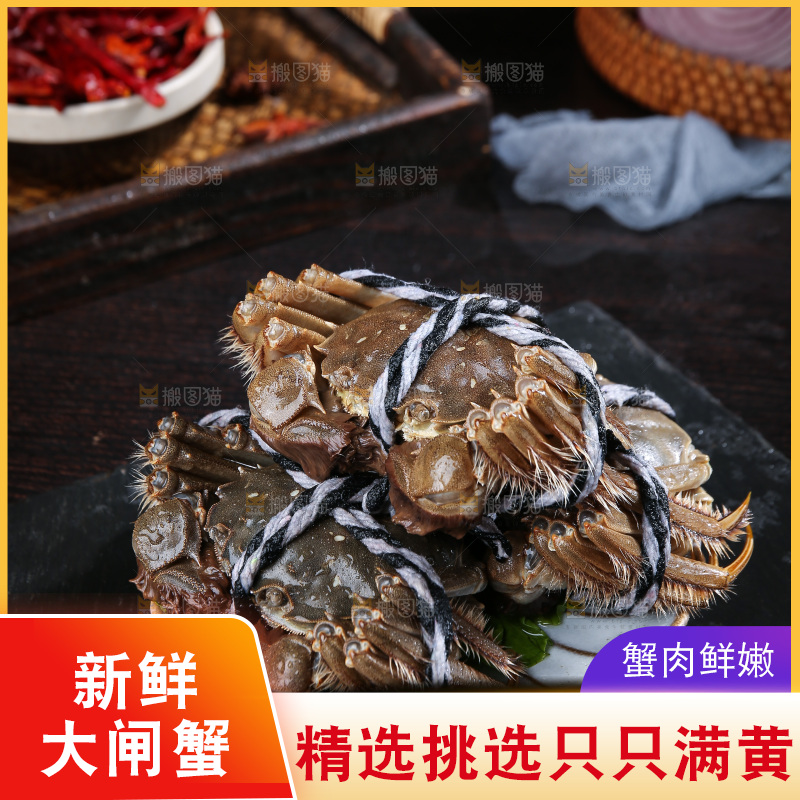 深底上的新鲜大闸蟹