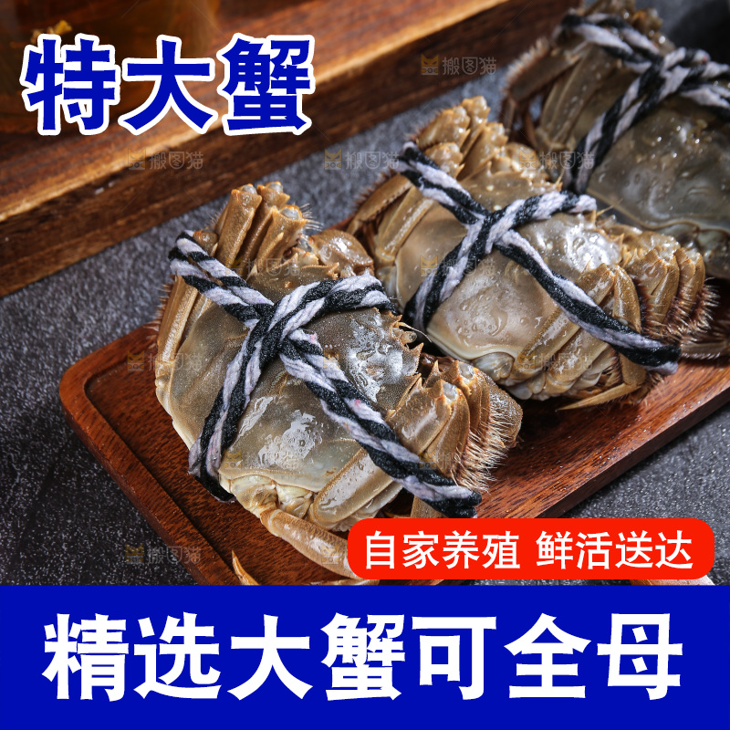 深底上的大闸蟹