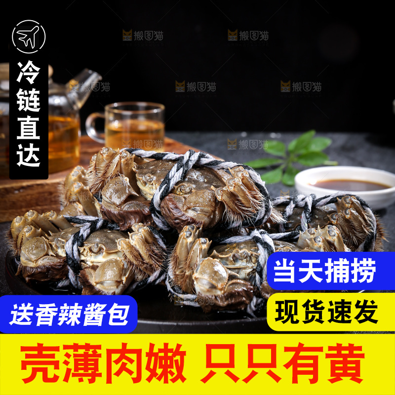 深底上的大闸蟹