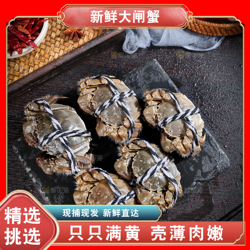 深底上的阳澄湖大闸蟹