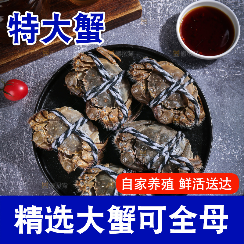 深底上的阳澄湖大闸蟹