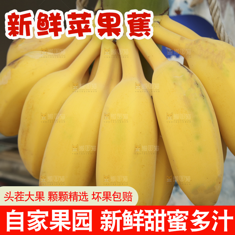 摆放着的苹果蕉