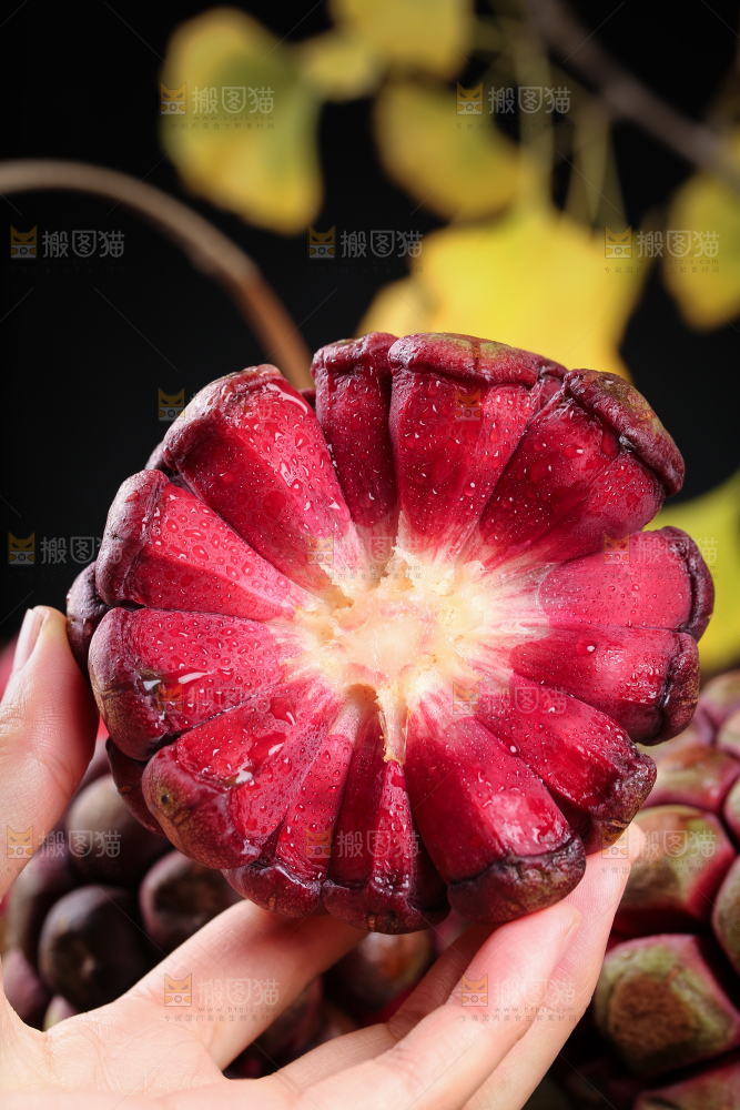 深底上的黑老虎