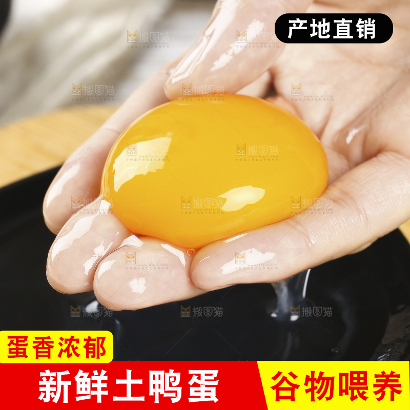 浅底上的鸭蛋